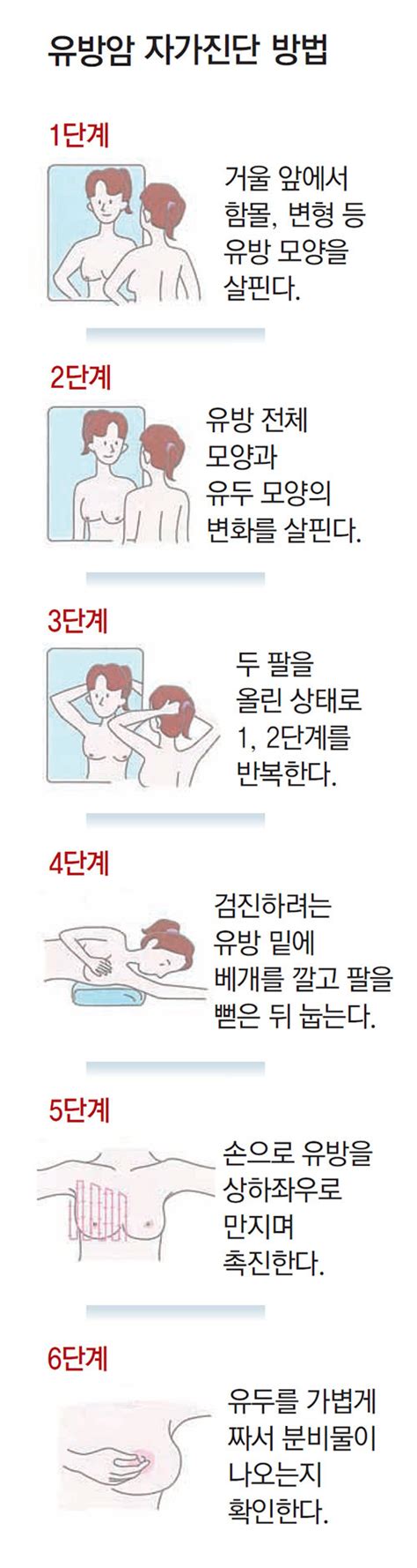 유두개발 방법|유두를 개발하는 방법 총정리~!!! [퍼옴] .